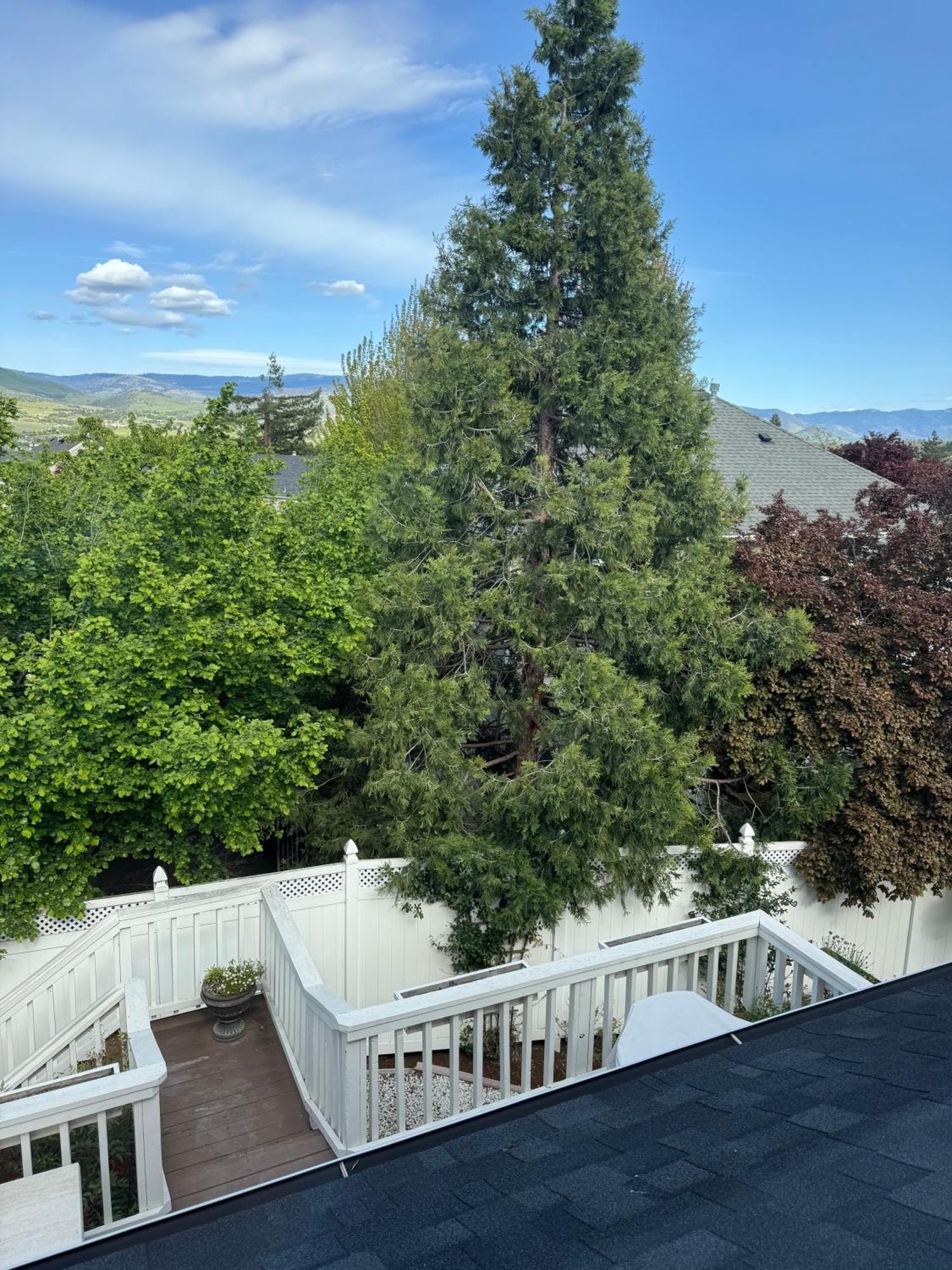 Bayberry Inn B&B And Oregon Wellness Retreat Ashland Exterior foto
